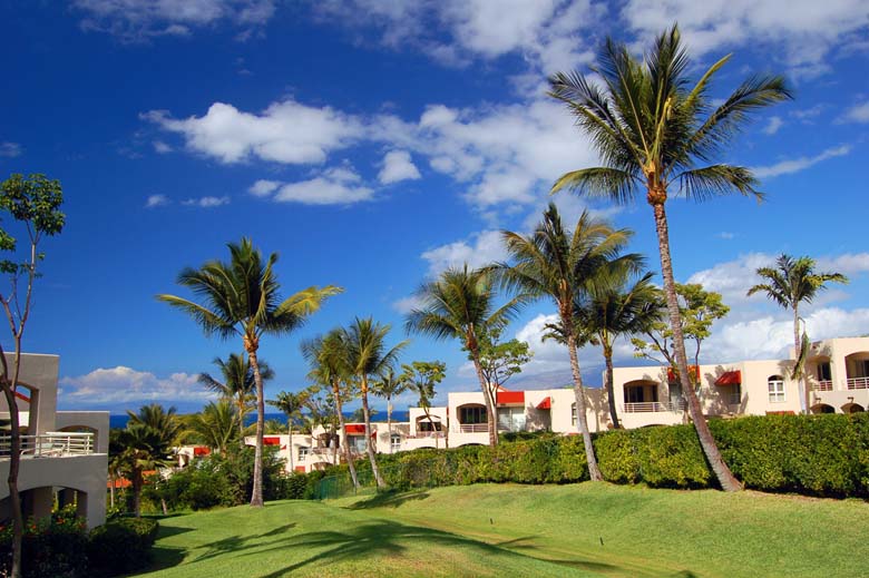 The Palms at Wailea Unit 901 Lanai Vacation Rental by Owner